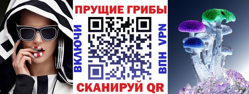 купить  цена  Нововоронеж  Псилоцибиновые грибы Psilocybe 