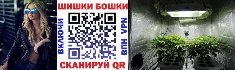 Канабис семена Нововоронеж